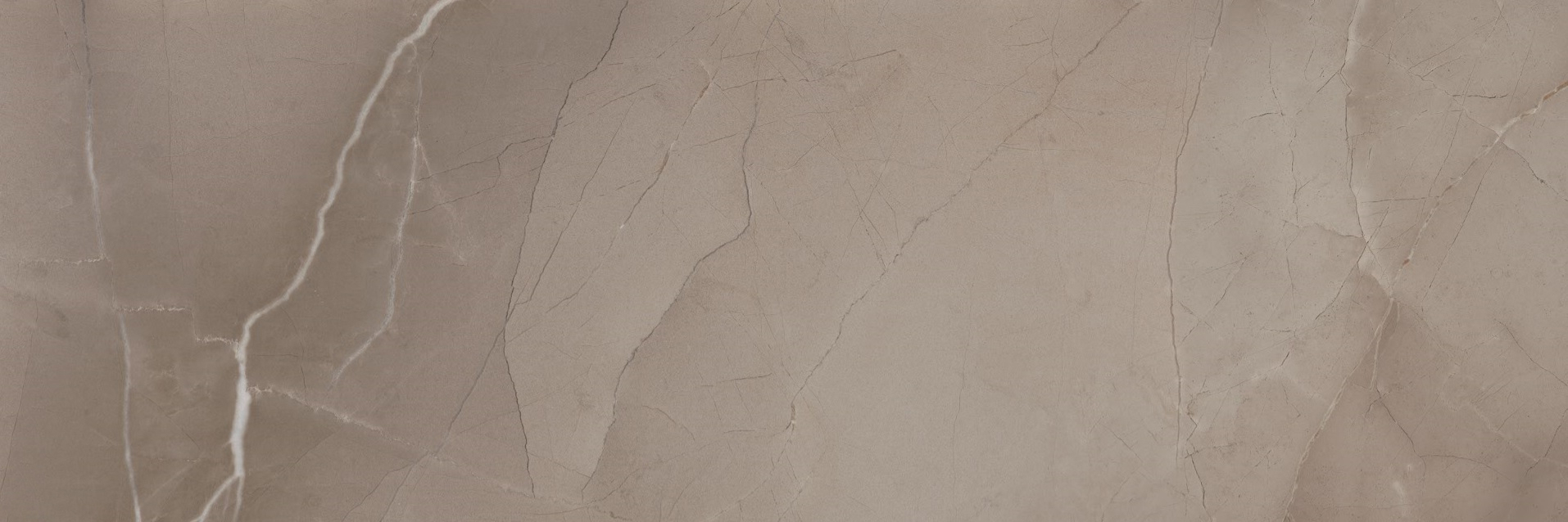 Passion Taupe R90 300x900 Azteca