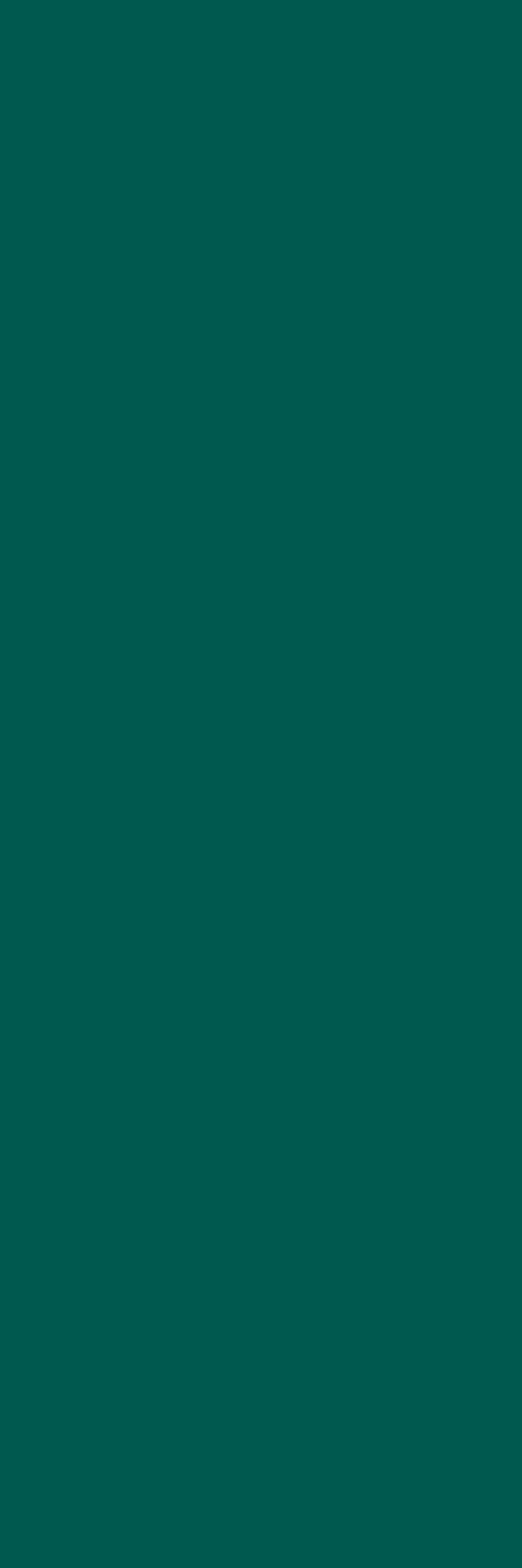 Emerald Forest Rett 250x750 Ceramika Color