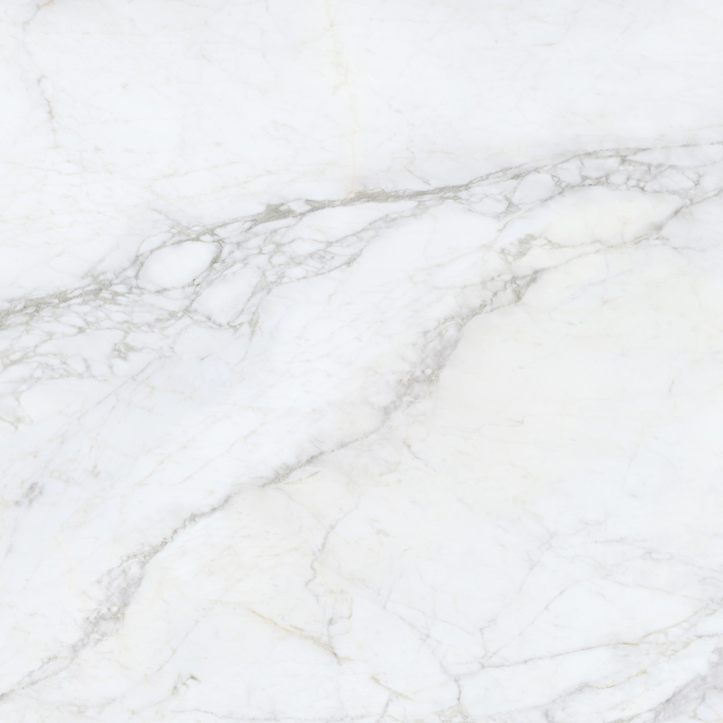 Bellini Salvia RECT POL 1200x1200 Argenta Ceramica